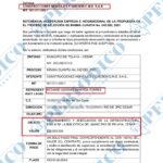 contrato del municipio de pelaya de la red de empresas del jurista (6)