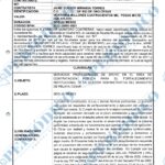 contrato del municipio de pelaya de la red de empresas del jurista (8)
