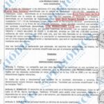 Acto de constitución de Empresa LCM Producciones SAS
