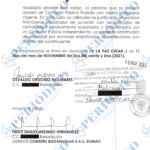 Constitución de Constru Buganvillas S.A.S Zomac