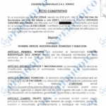 Constitución de Constru Buganvillas S.A.S Zomac